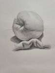 苹果素描
