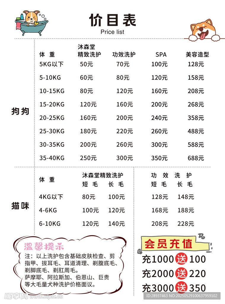 宠物护理洗护价格