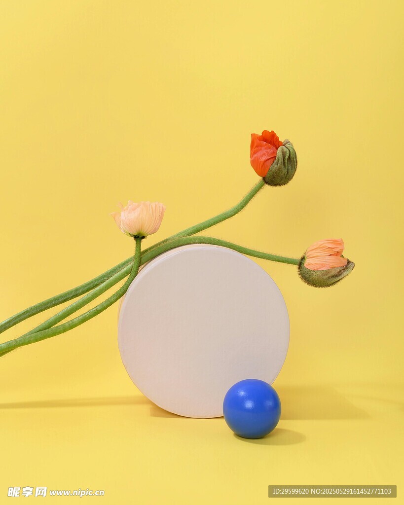 黄背景下的花卉与圆球摆件