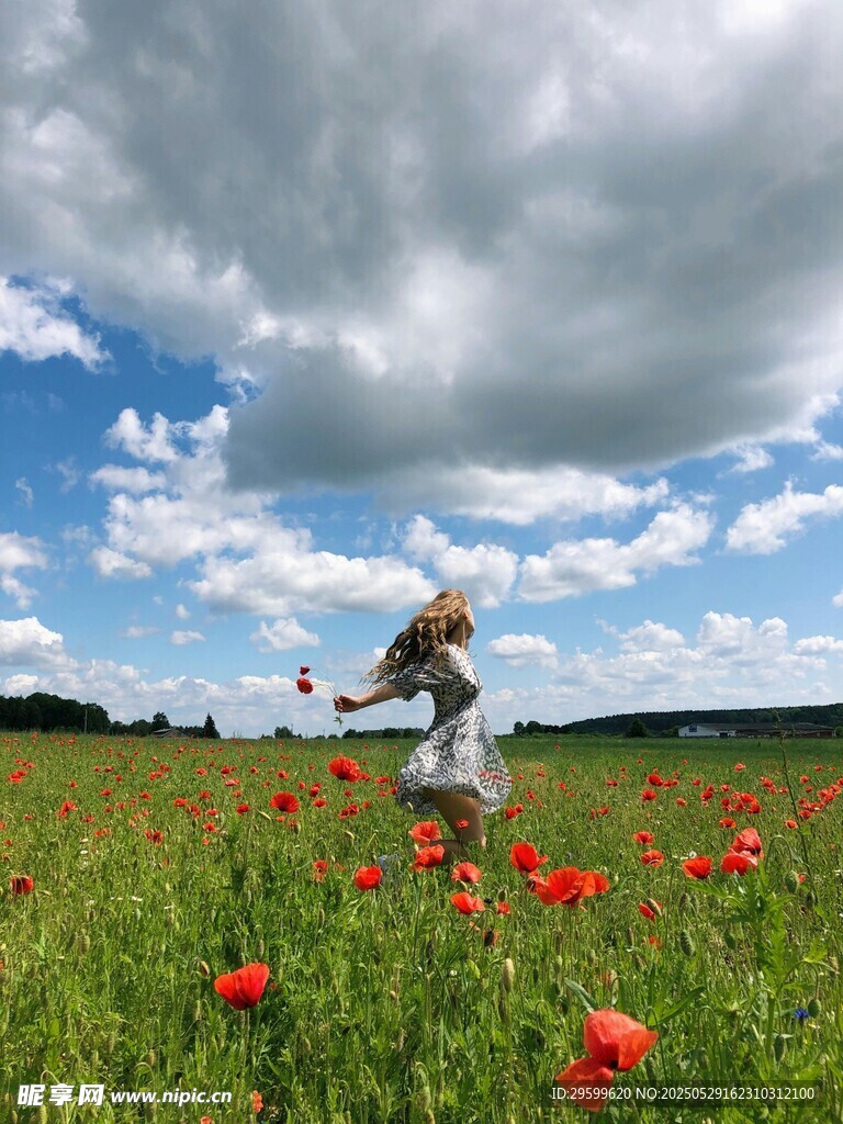田野中女子在花丛间起舞