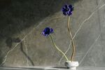 两朵蓝花插于素雅花瓶中