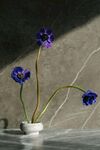 白色花瓶中的紫色花朵
