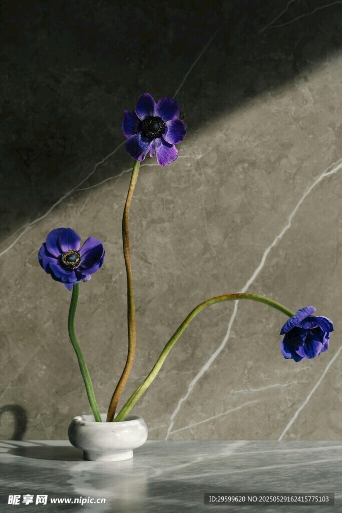 白色花瓶中的紫色花朵