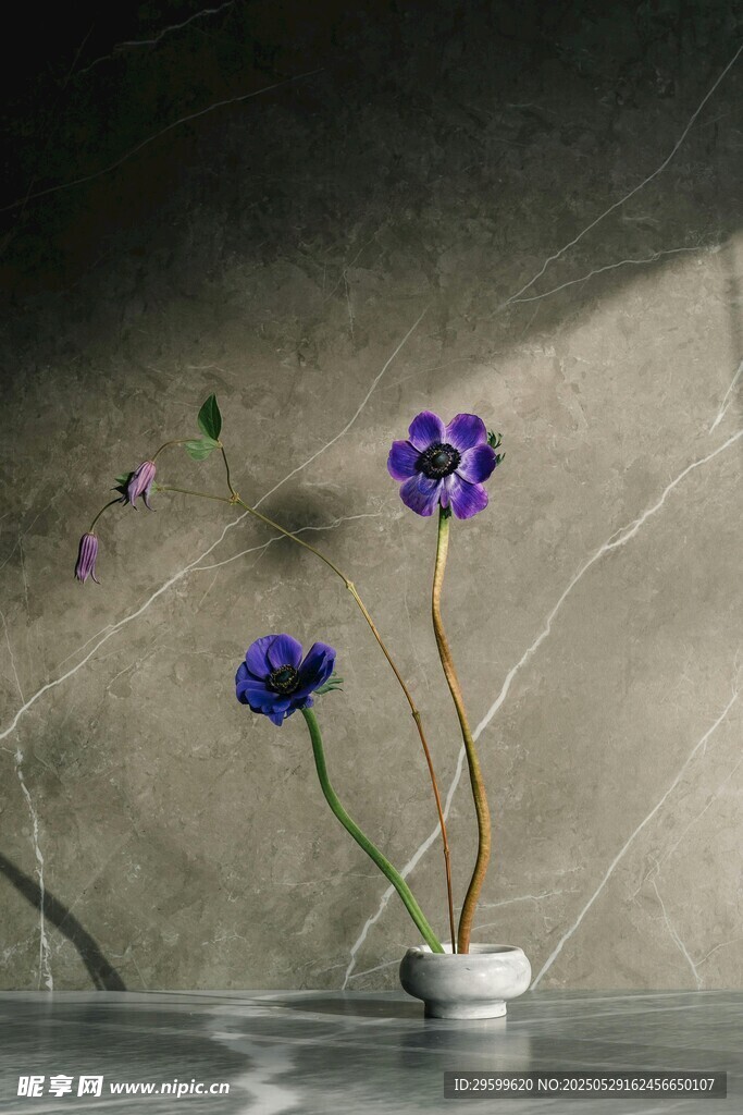 简约花瓶中的紫色小花
