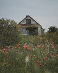 花田中的古朴小屋