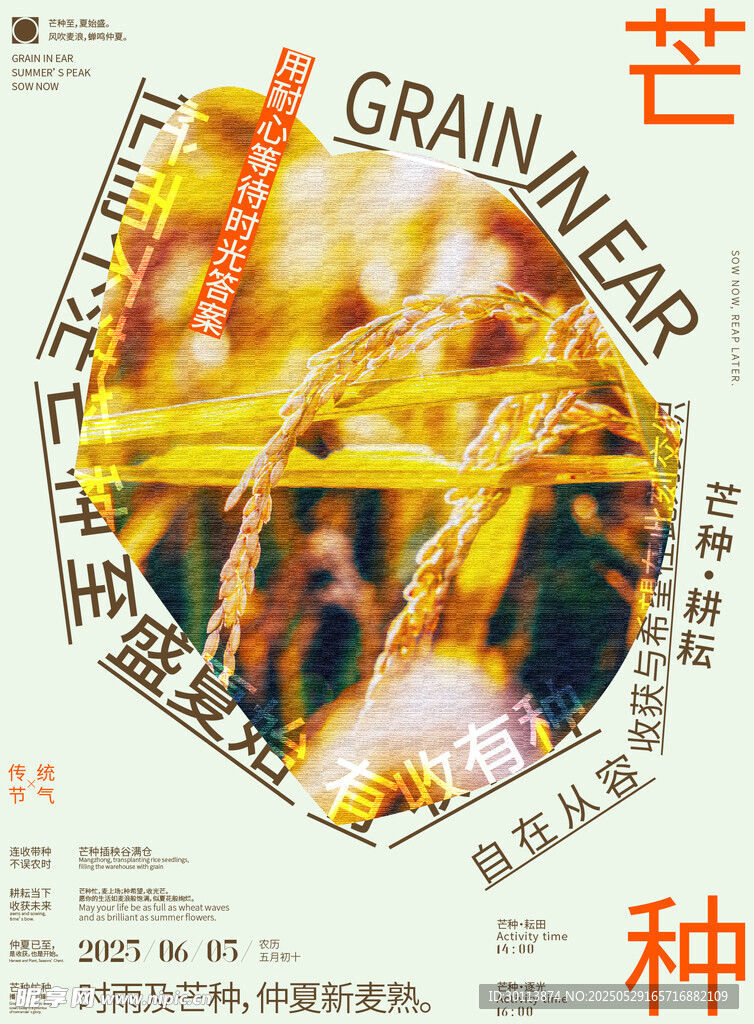 芒种海报