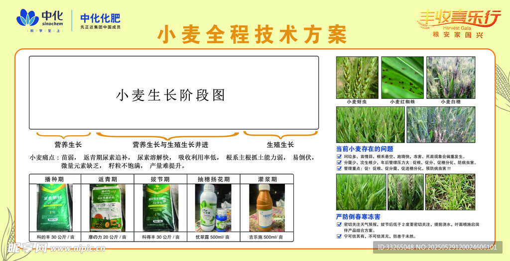 小麦全程技术方案