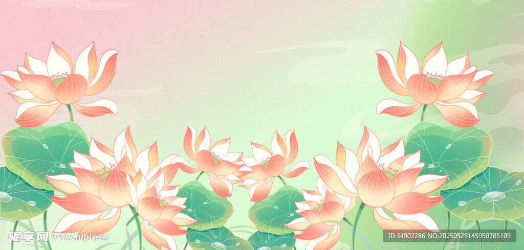 免扣荷花