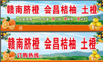 赣南脐橙会昌桔柚土特产