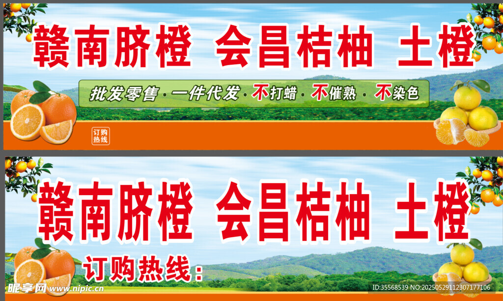 赣南脐橙会昌桔柚土特产
