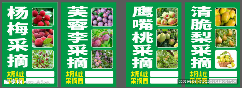 杨梅鹰嘴桃