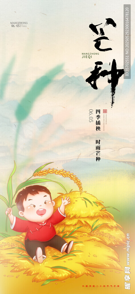 芒种 