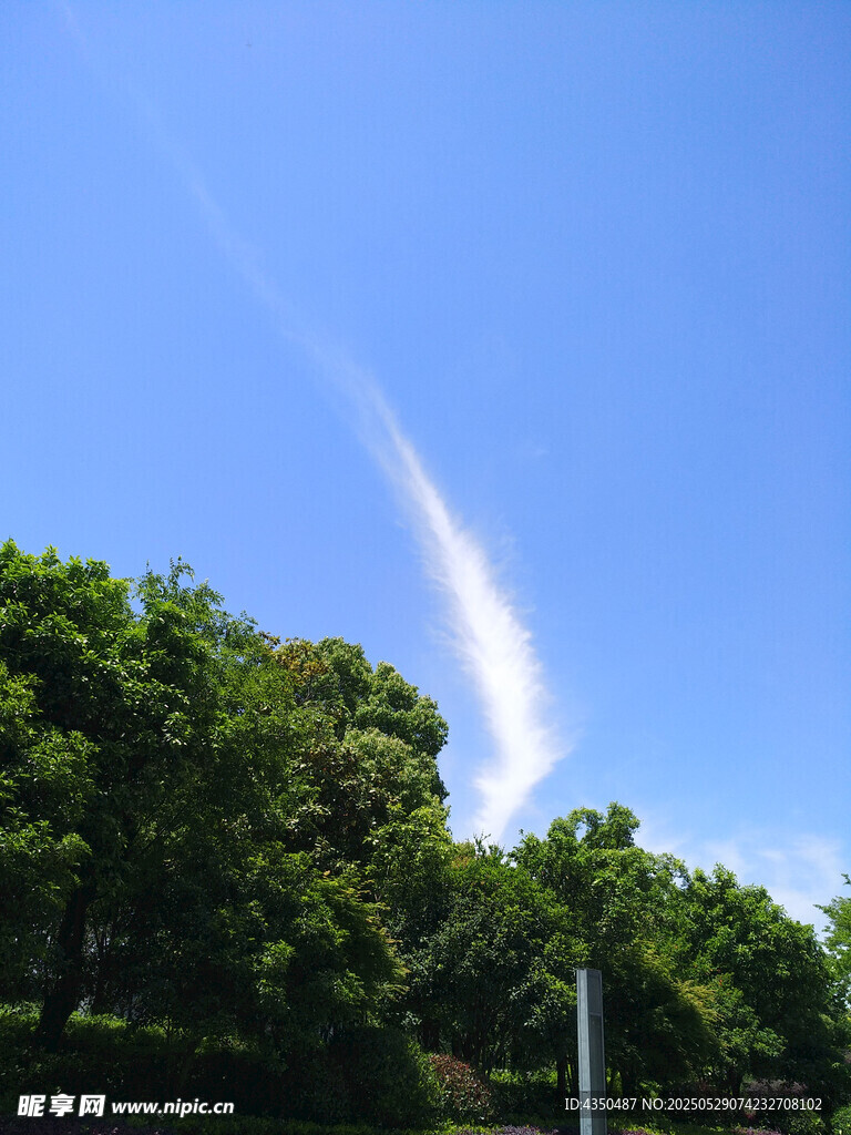 蓝天绿树间的飞机尾迹