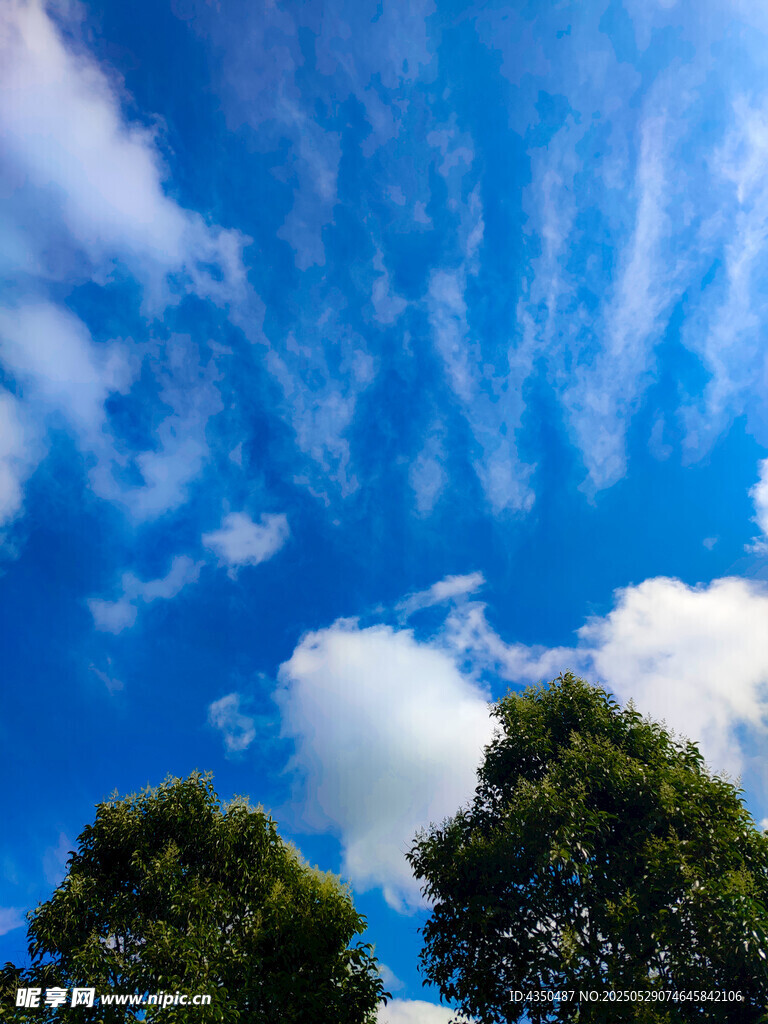 蓝天绿树间的白云美景