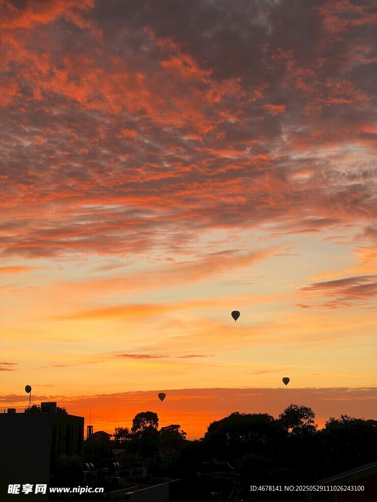 夕阳下的绚烂天空飞鸟