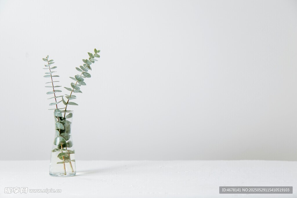 简约花瓶中的清新绿植