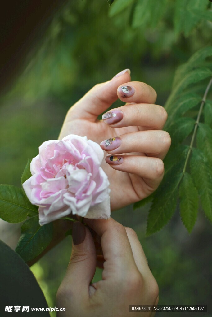 手捧娇美粉色花朵