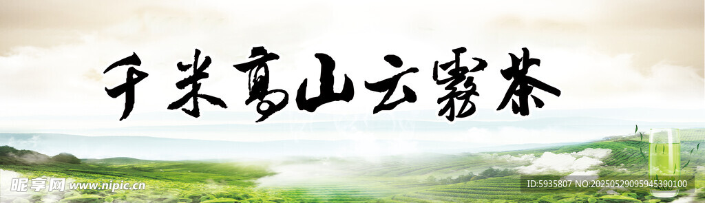 云雾茶