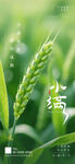 小满