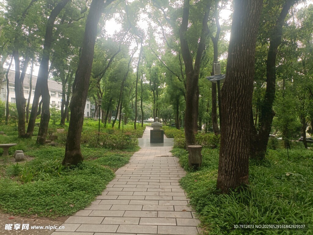 林间幽静步道