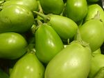 新鲜青茄子堆叠