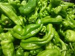 鲜绿饱满的青椒堆叠