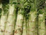 新鲜莴笋堆叠