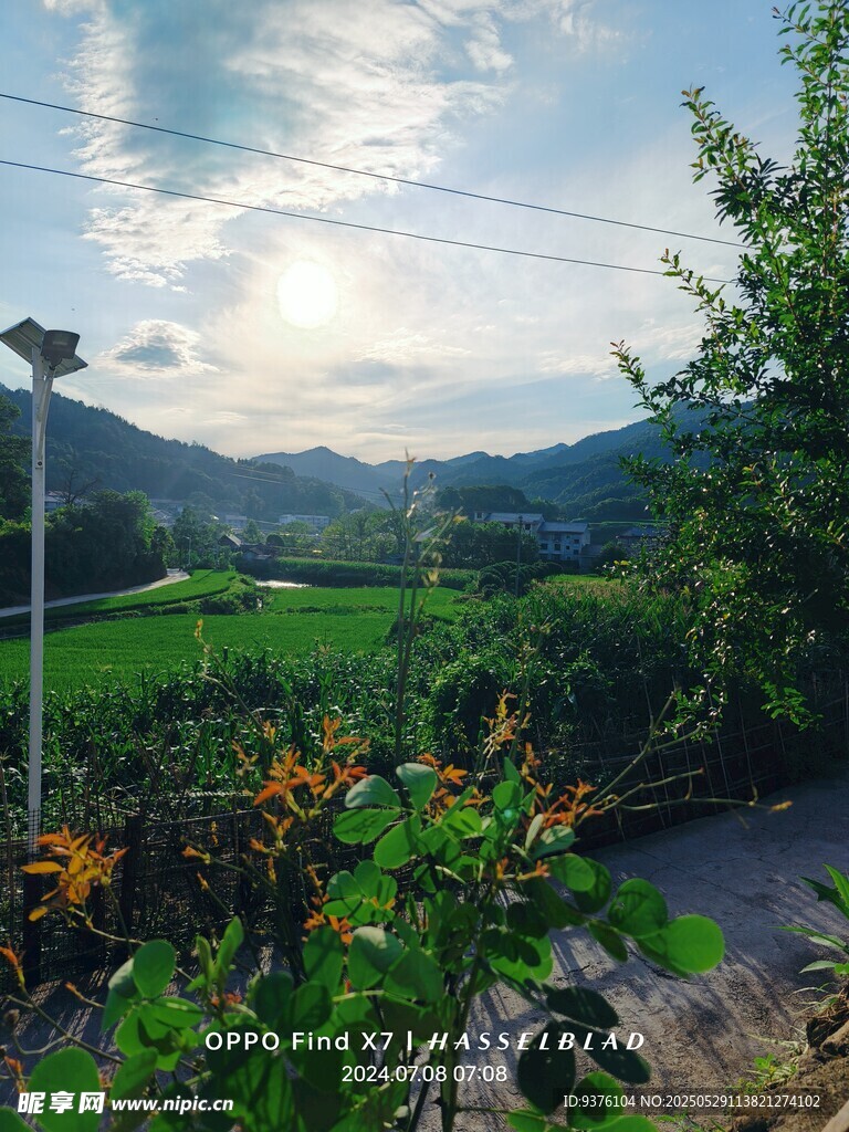 夏日清晨