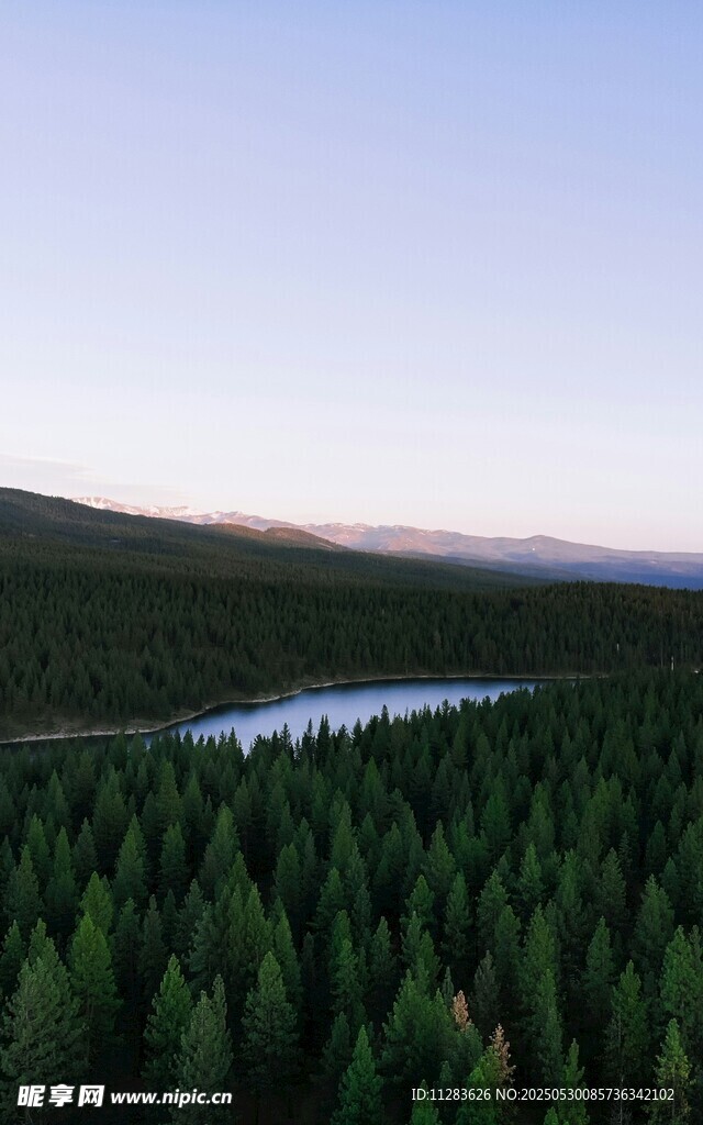 森林中的静谧湖泊