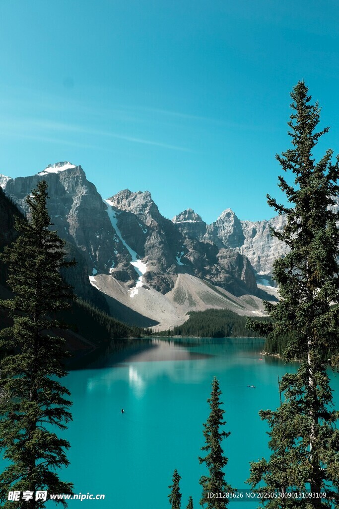 美丽的高山湖泊森林景观