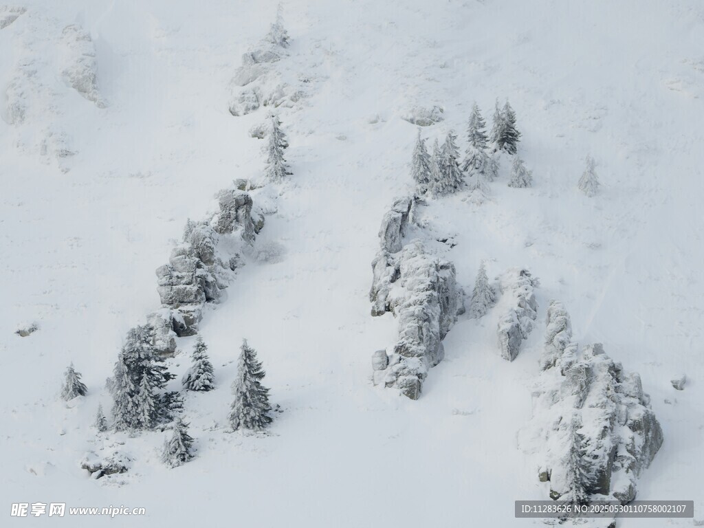 雪覆山林美景