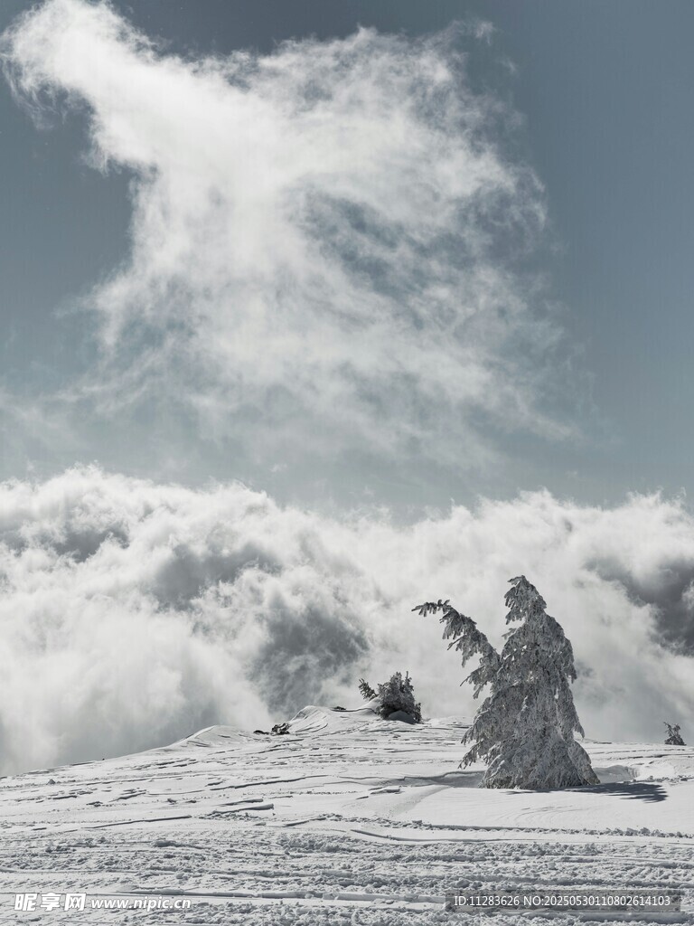 雪山孤影