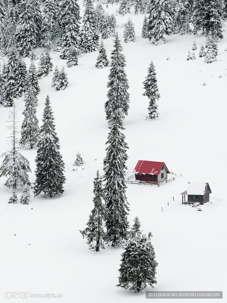 雪野中的红屋与树木