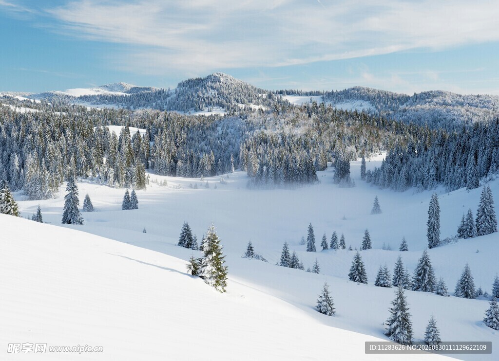 冬日雪覆山林美景