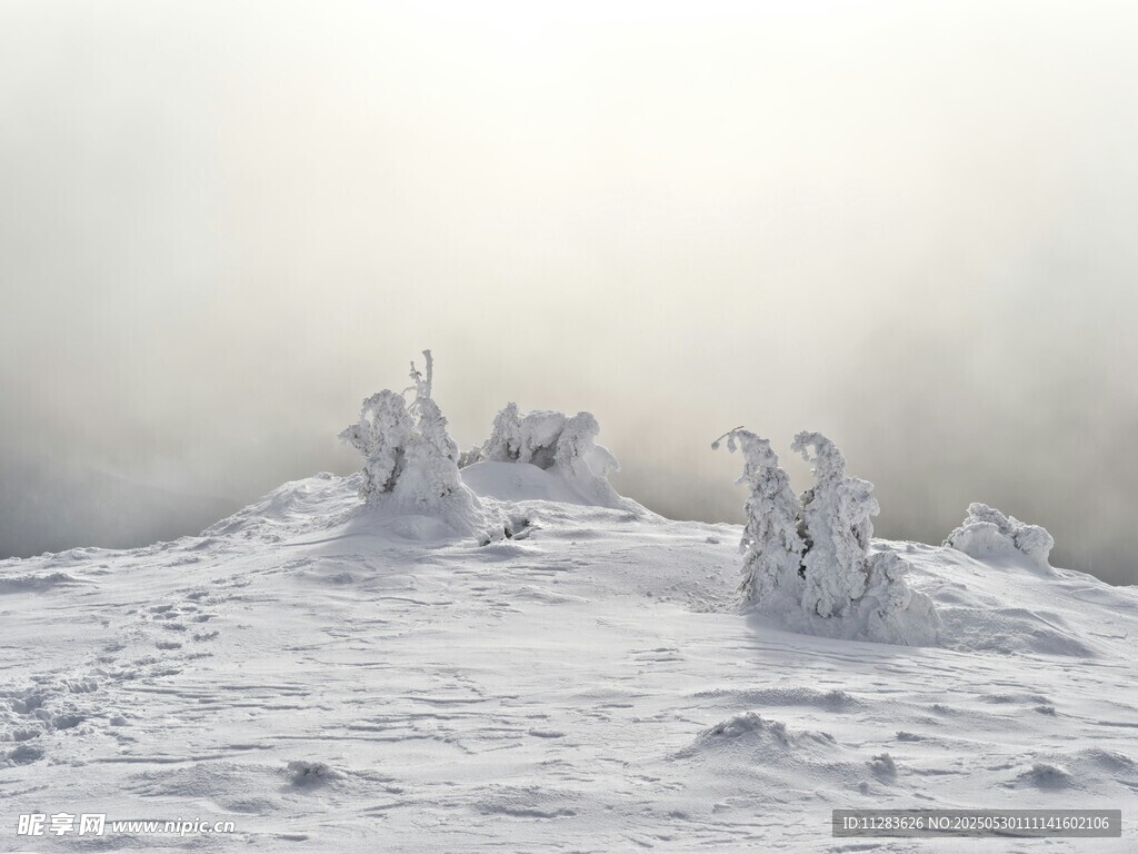 雪覆山丘上的奇特雪雕