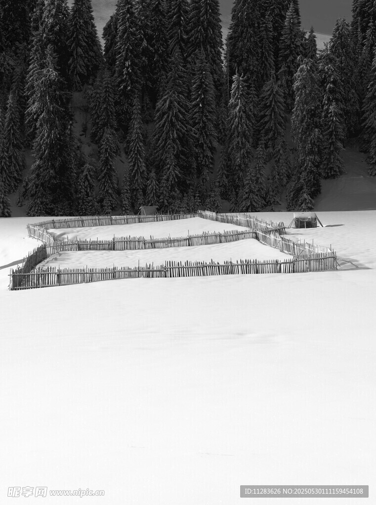 雪地中的神秘方形建筑遗迹
