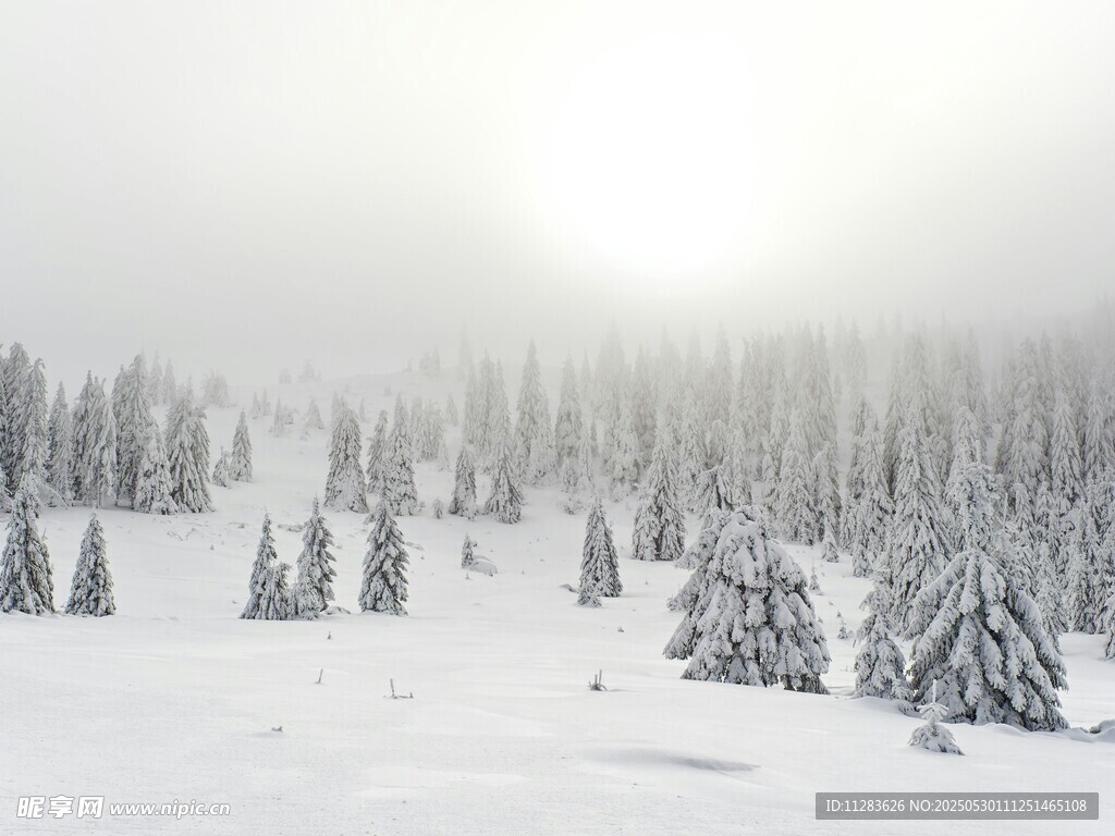 雪覆山林冬日美景