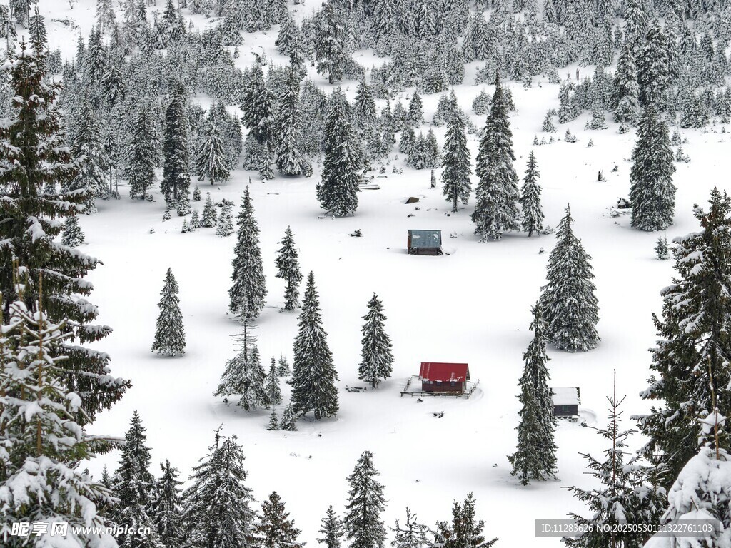 雪覆山林中的红黑小屋