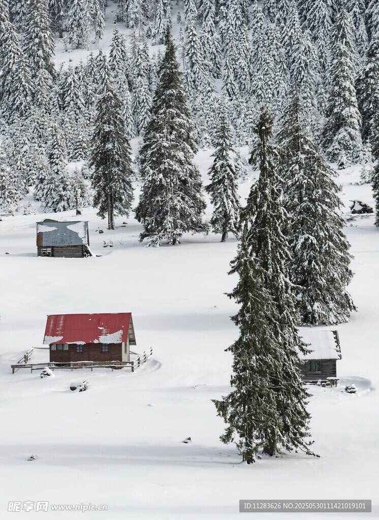 雪覆山林中的红顶小屋