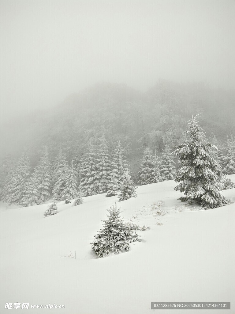 雪覆山林的静谧冬日景象