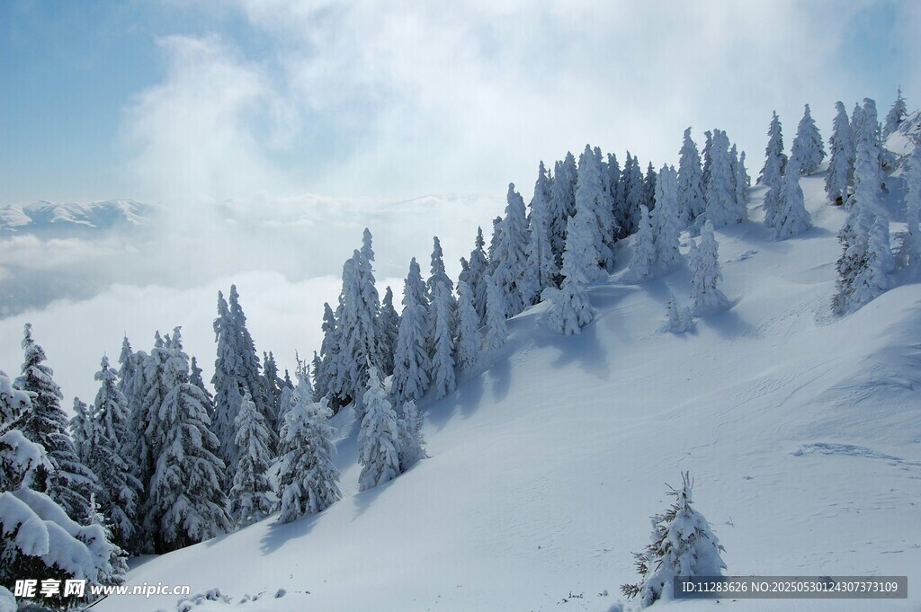 雪覆山林美景