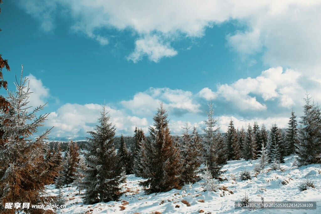 雪覆山林蓝天景