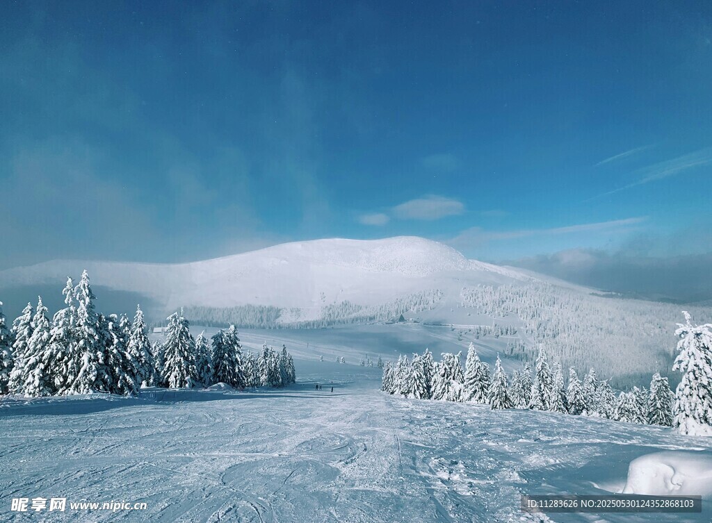 冬日雪景中的银白山林