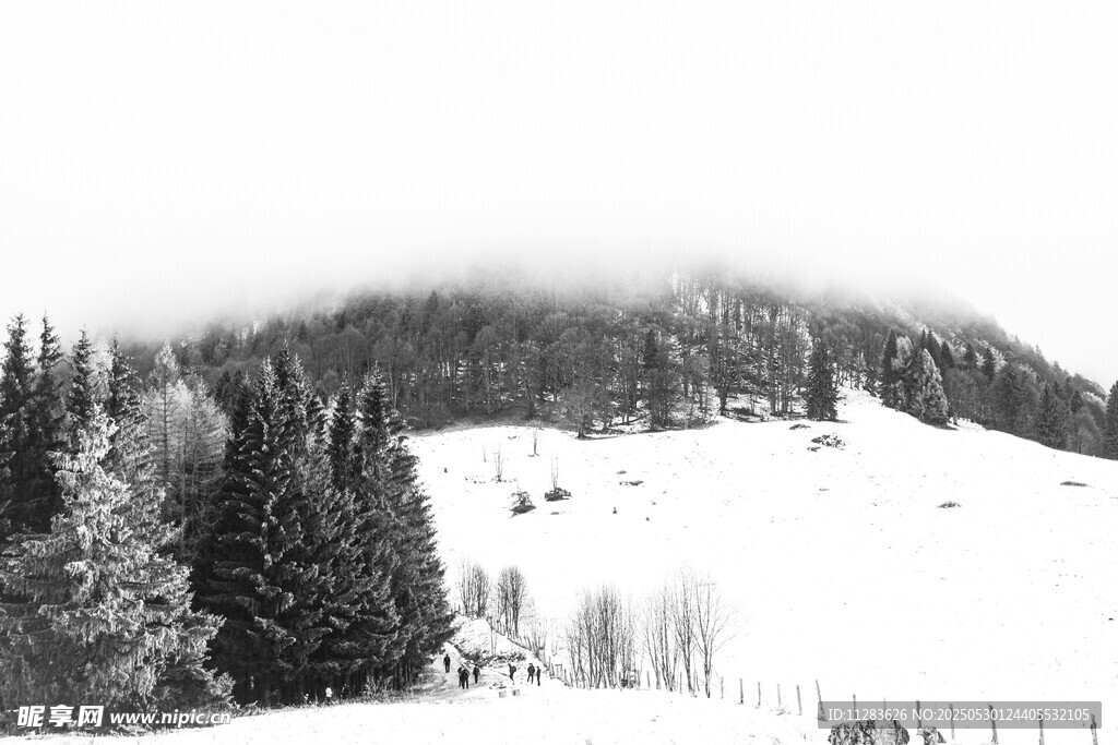 雪覆山林美景