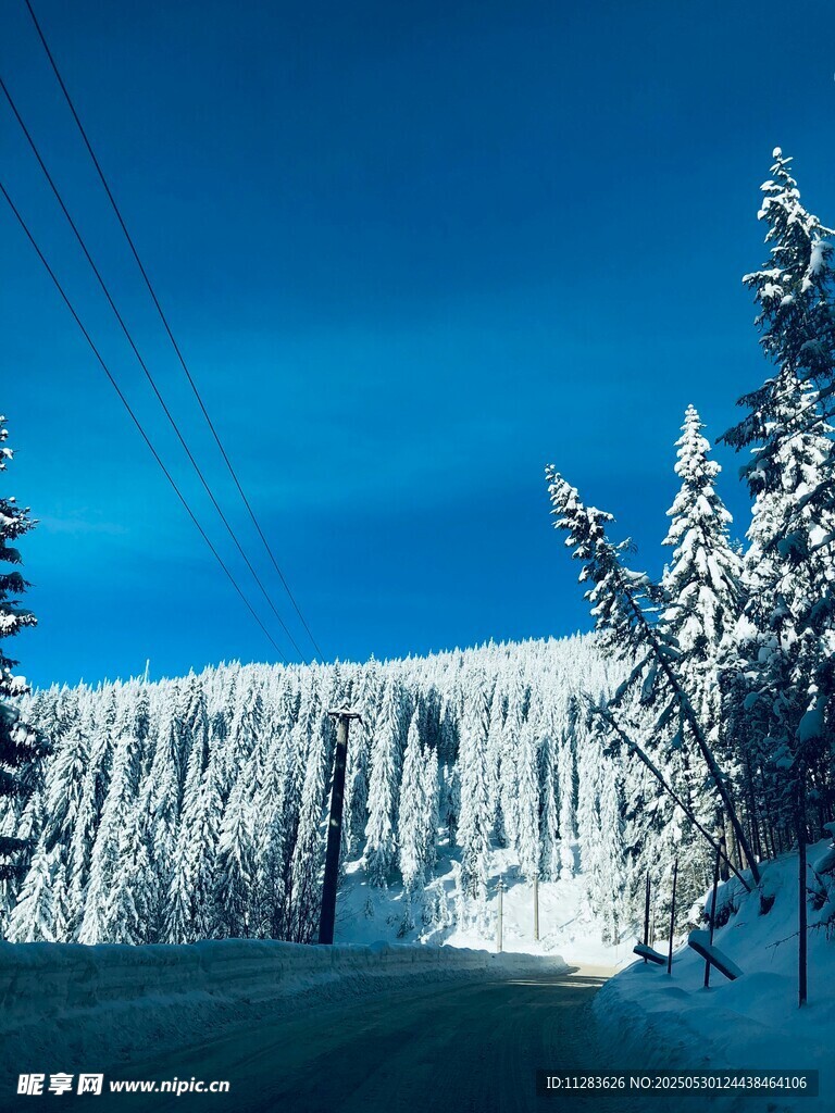 冬日雪覆山林美景