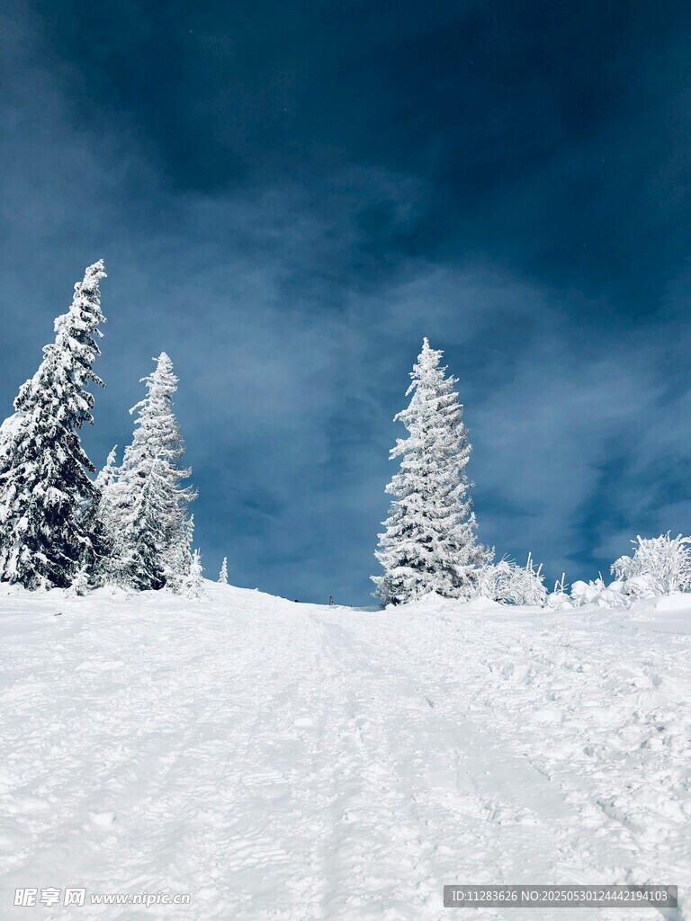 雪覆山林美景