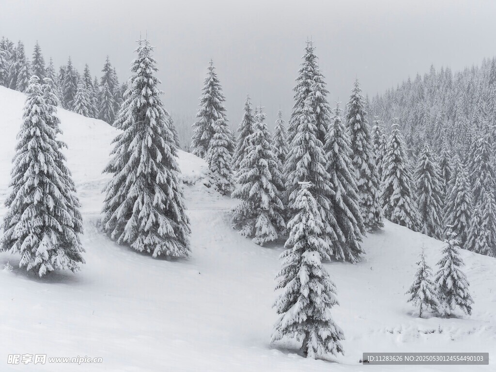 雪覆山林美景