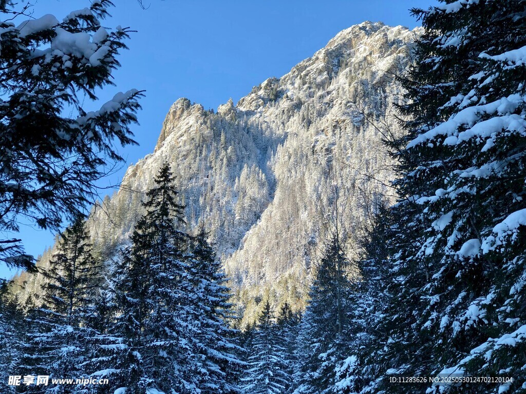 雪覆山林中的巍峨山峰