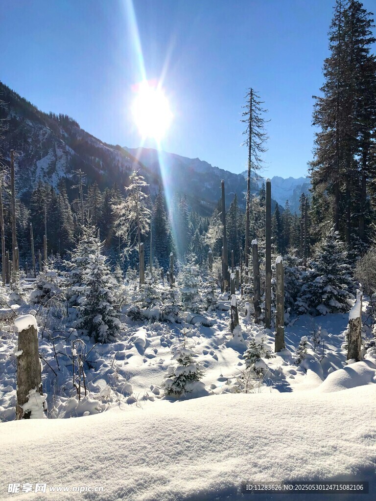 冬日山林雪景阳光洒落