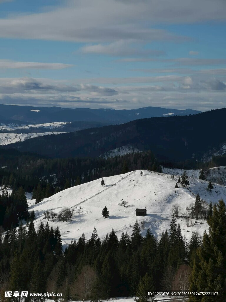 冬日雪山松林美景